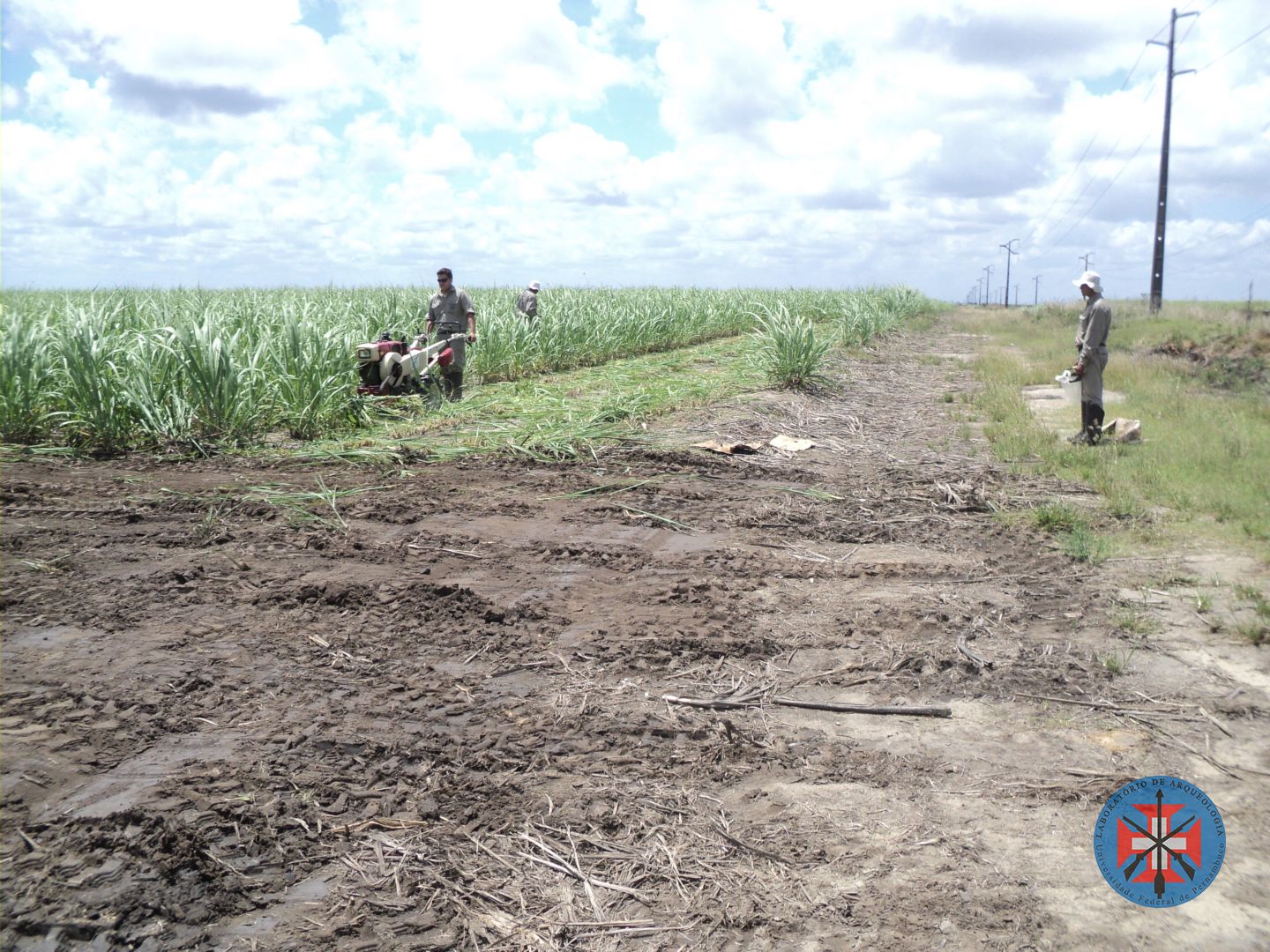 Preparação do terreno para instalação do canteiro da equipe de Arqueologia.